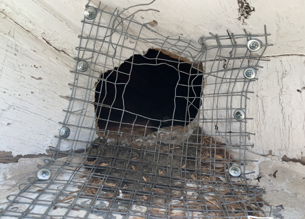 Chicken wire screwed over a baseball-size hole.